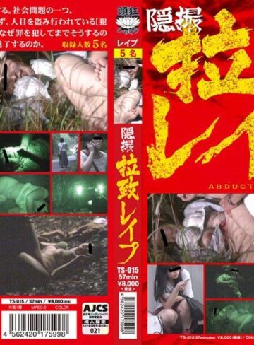 ❤隠撮 拉致レ●プ｜ 評価